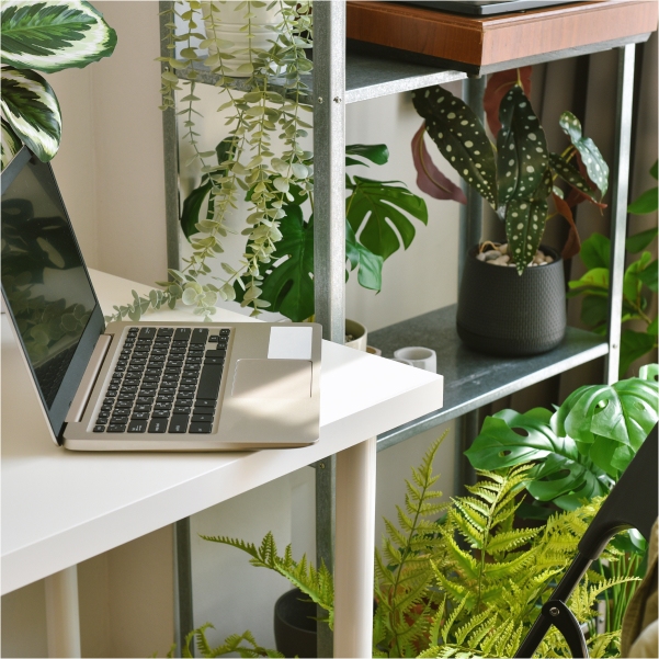 Un ordinateur portable posé sur un bureau à côté d'une plante.