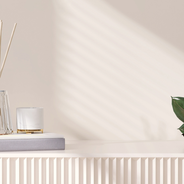 Un radiateur blanc avec une plante et un livre posés dessus.